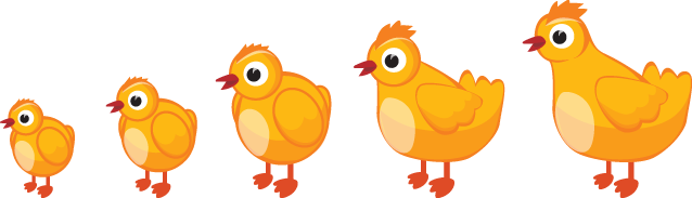 Chickenfeed